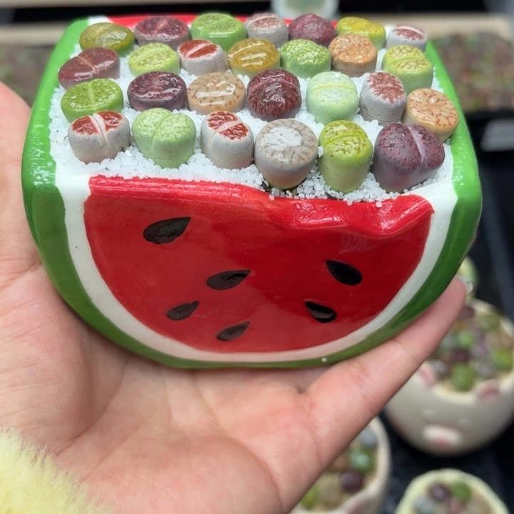 零下地区记得拍保温箱6043