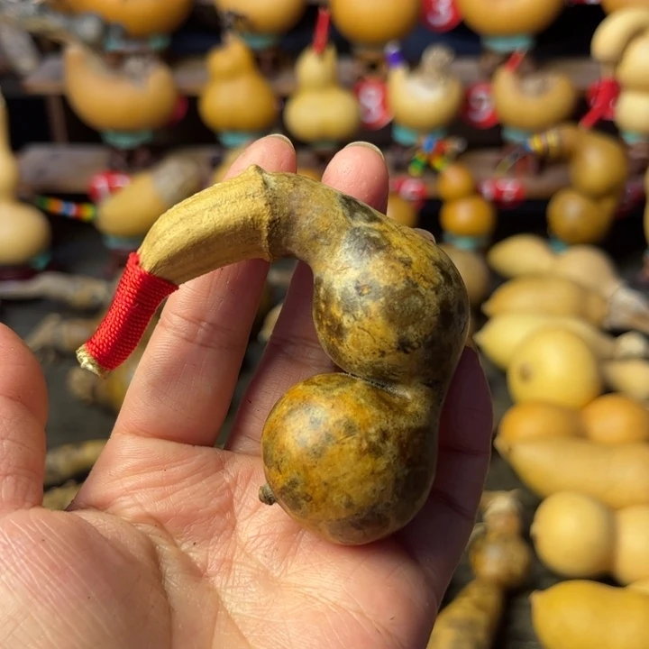 泽***司花皮葫芦天天开心