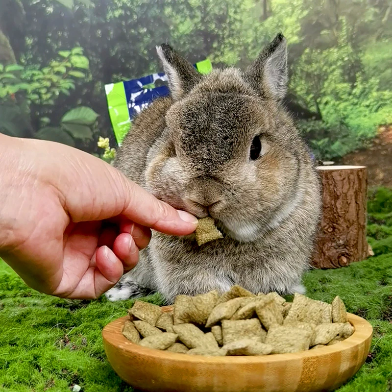 Vitakraft德国卫塔卡夫磨牙夹心酥仓鼠金丝熊豚鼠地鼠形