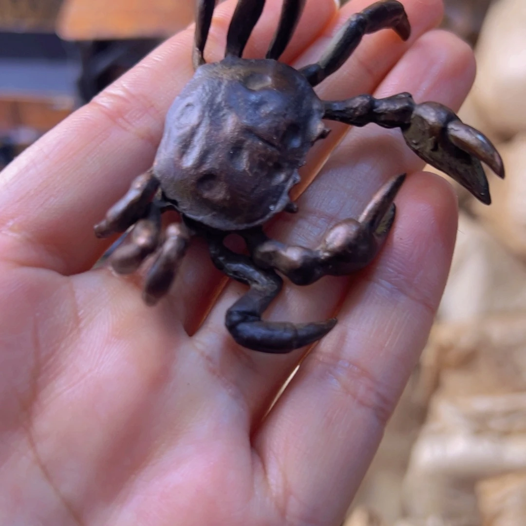 拼手速！全部都给了