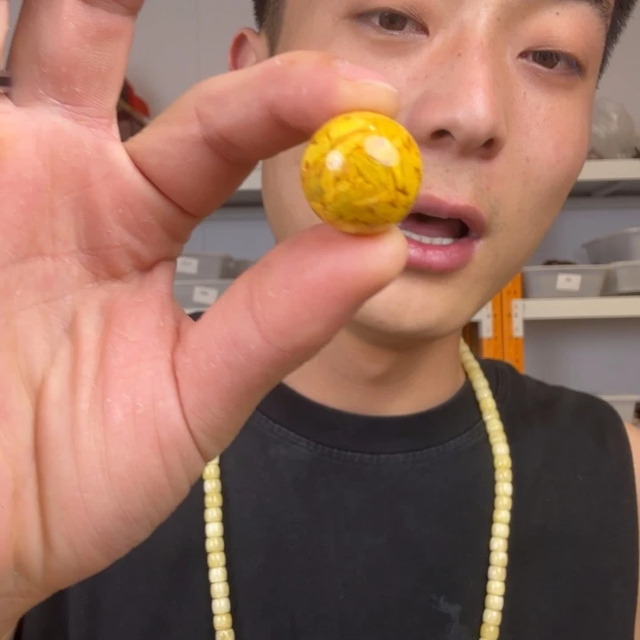 大果紫檀（缅甸花梨）C216