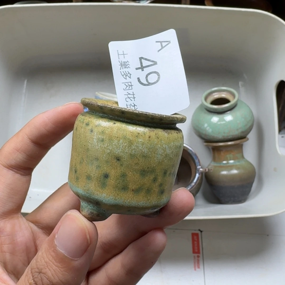 杜***若陶瓷工艺与艺术设计