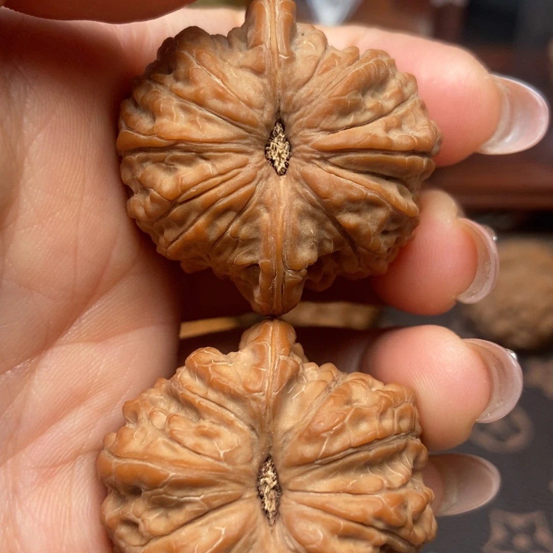 大叶紫檀（黑酸枝木类）血麒麟