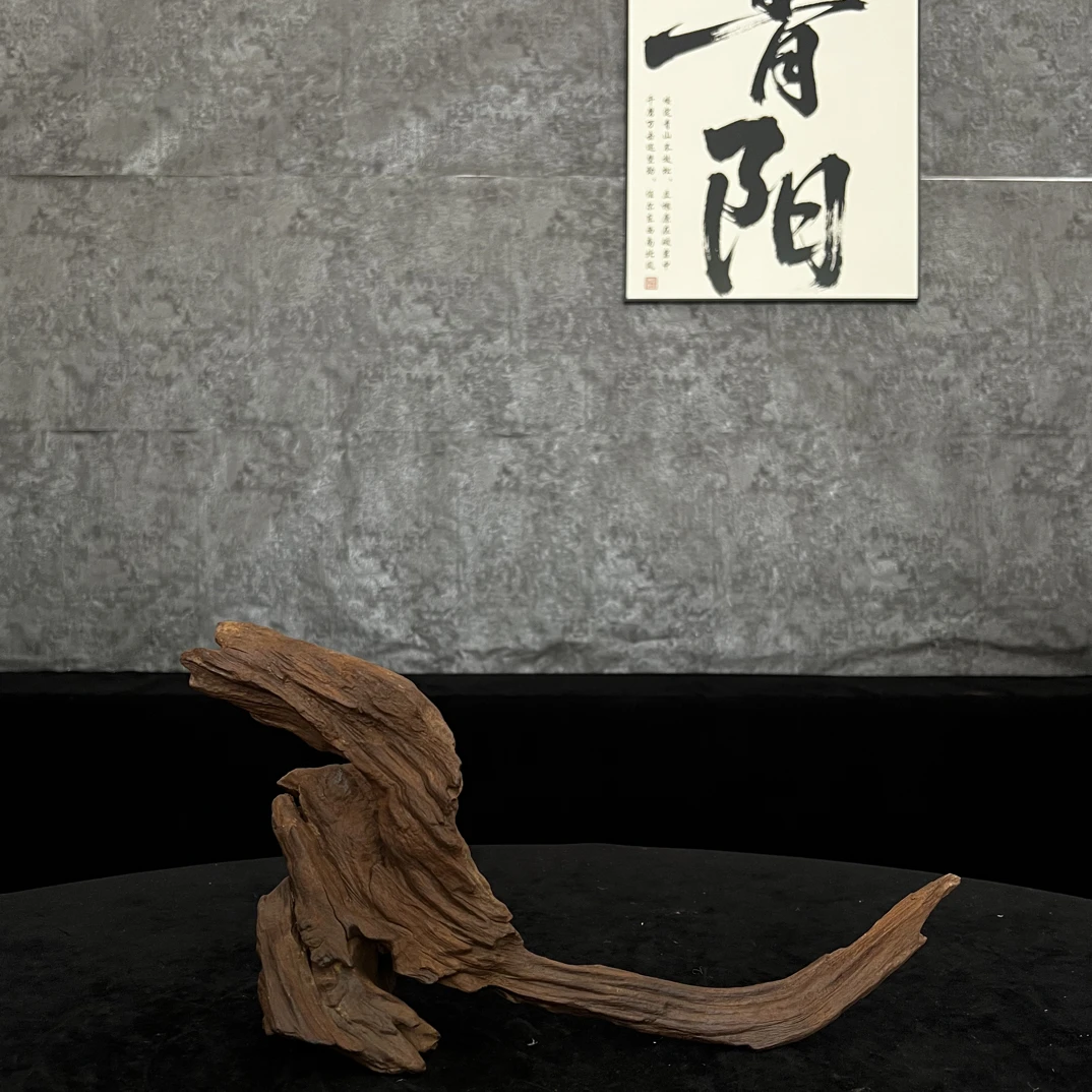 【青阳沉木】云南紫柚木沉木鱼缸造景装饰飘枝拱桥树桩—37.13.20