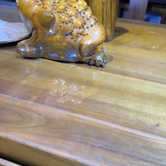 V***莲金丝楠木小叶桢楠