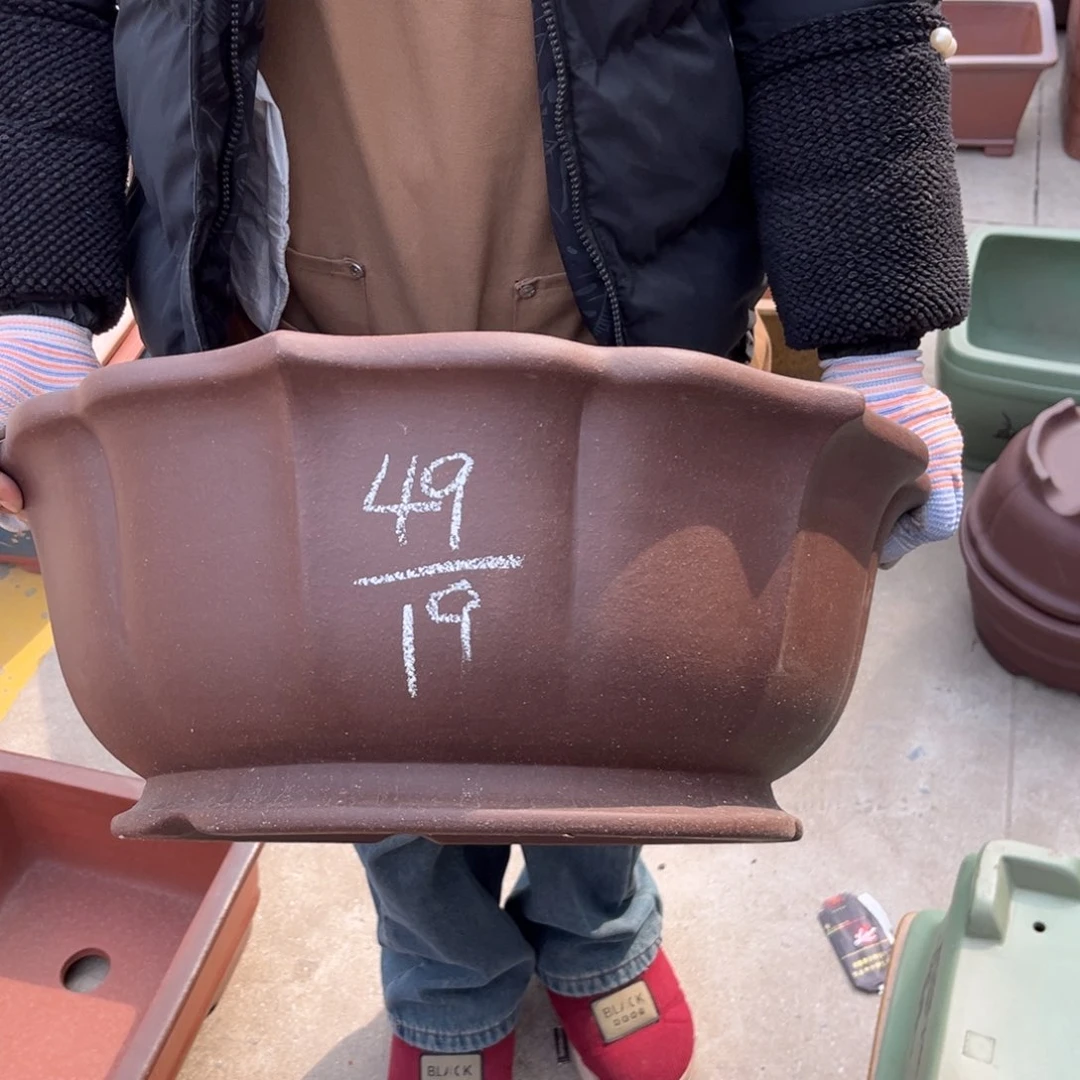 紫砂花盆盆景艺术