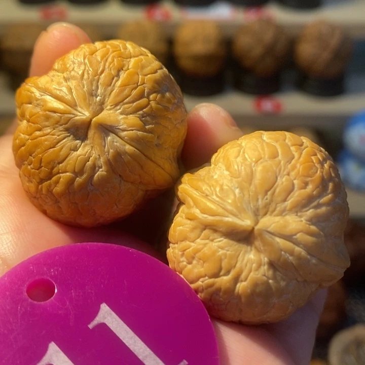 核桃16号链接粗筋大西瓜34尺寸