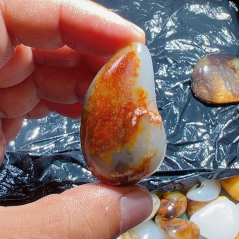 和田玉未镶嵌颈饰21克