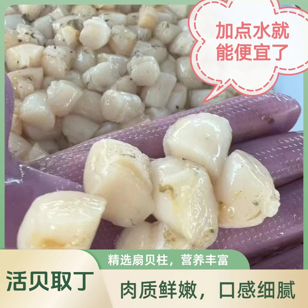大连杏树屯手工纯原浆小红贝扇贝丁瑶柱新鲜美味海鲜特产