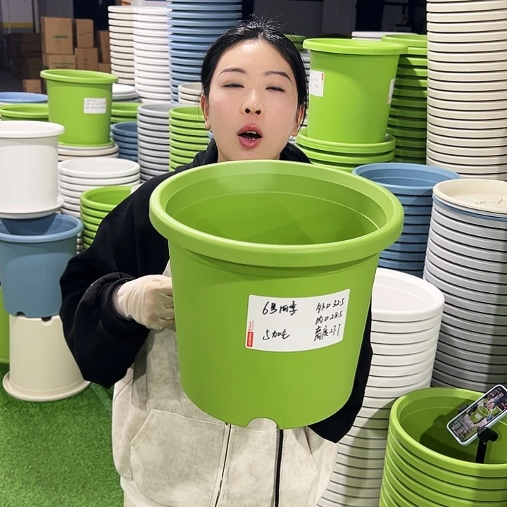 特价6号四季口32.5高27.7白色7只无托