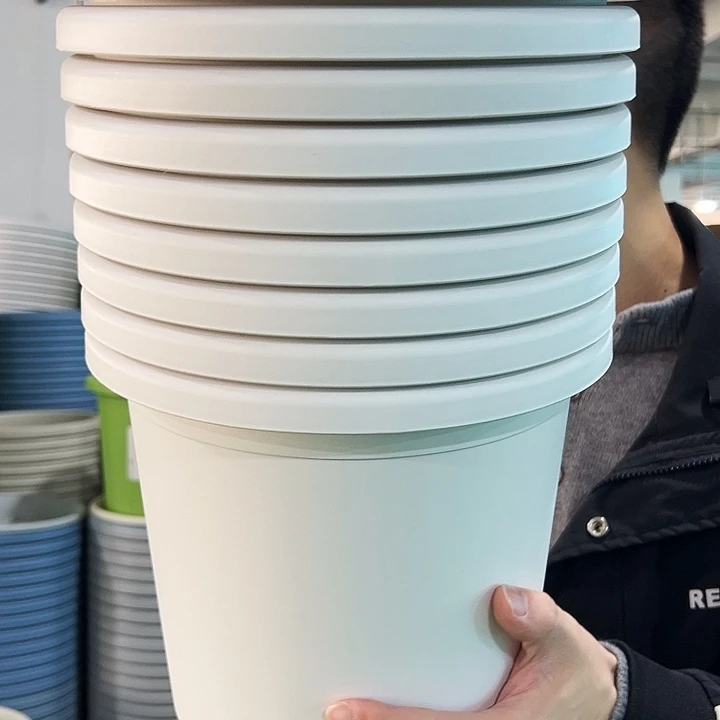 特价4号四季口25高21.5白色无托10只