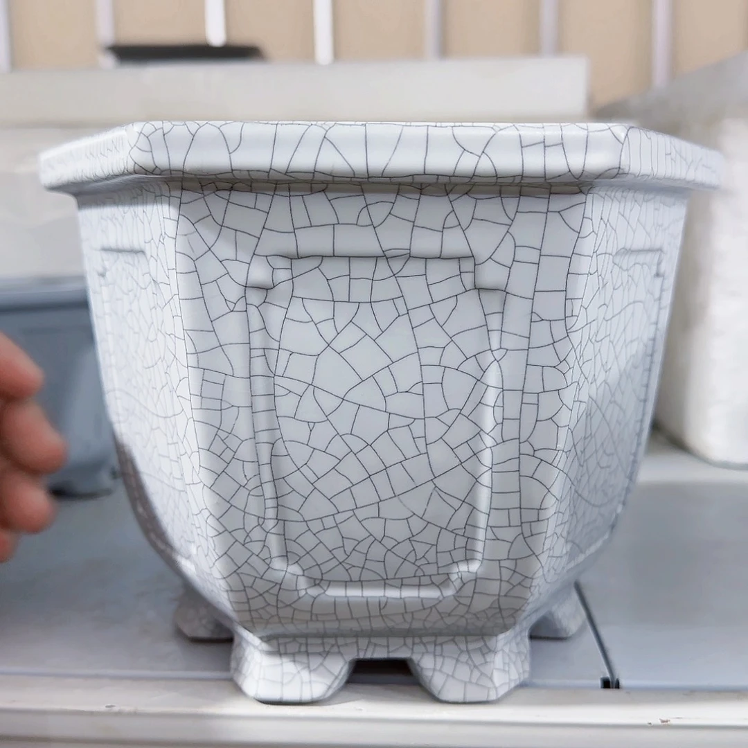 陶瓷花盆特价上新
