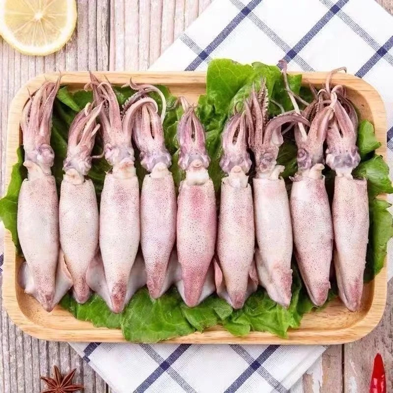 深海带籽海兔鲜活速冻满籽籽乌顺丰冷链笔管鱼海鲜水产500克