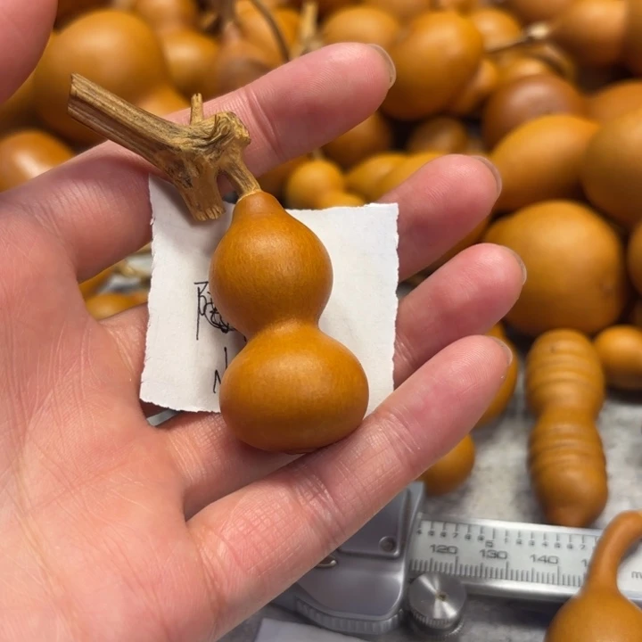 䒕**?熊熊的赵哲曹李金葫芦