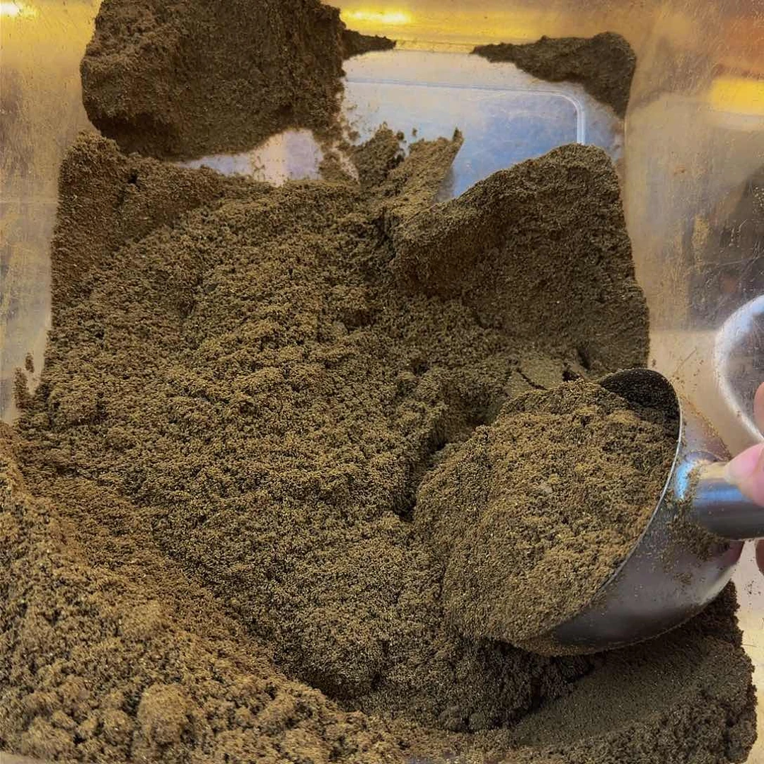 沉香碎屑沉香老料金沙叶粉100克