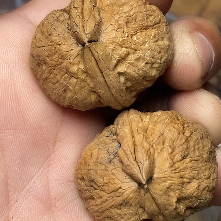 文玩核桃把件云南铁核桃68