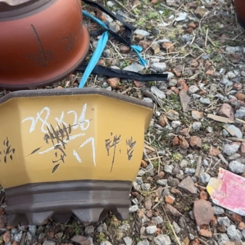 红陶紫砂花盆盆景盆栽