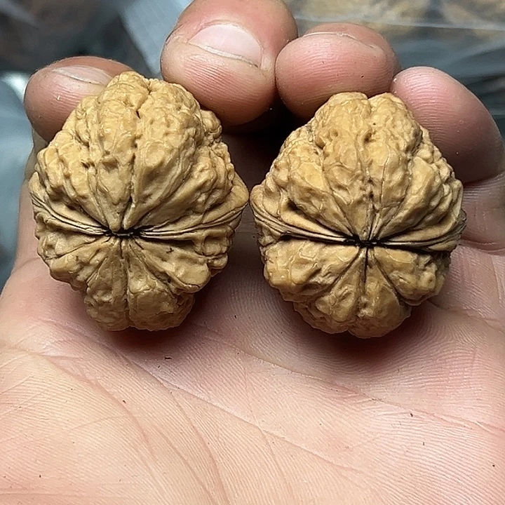 核桃68号米字底金蟾38尺