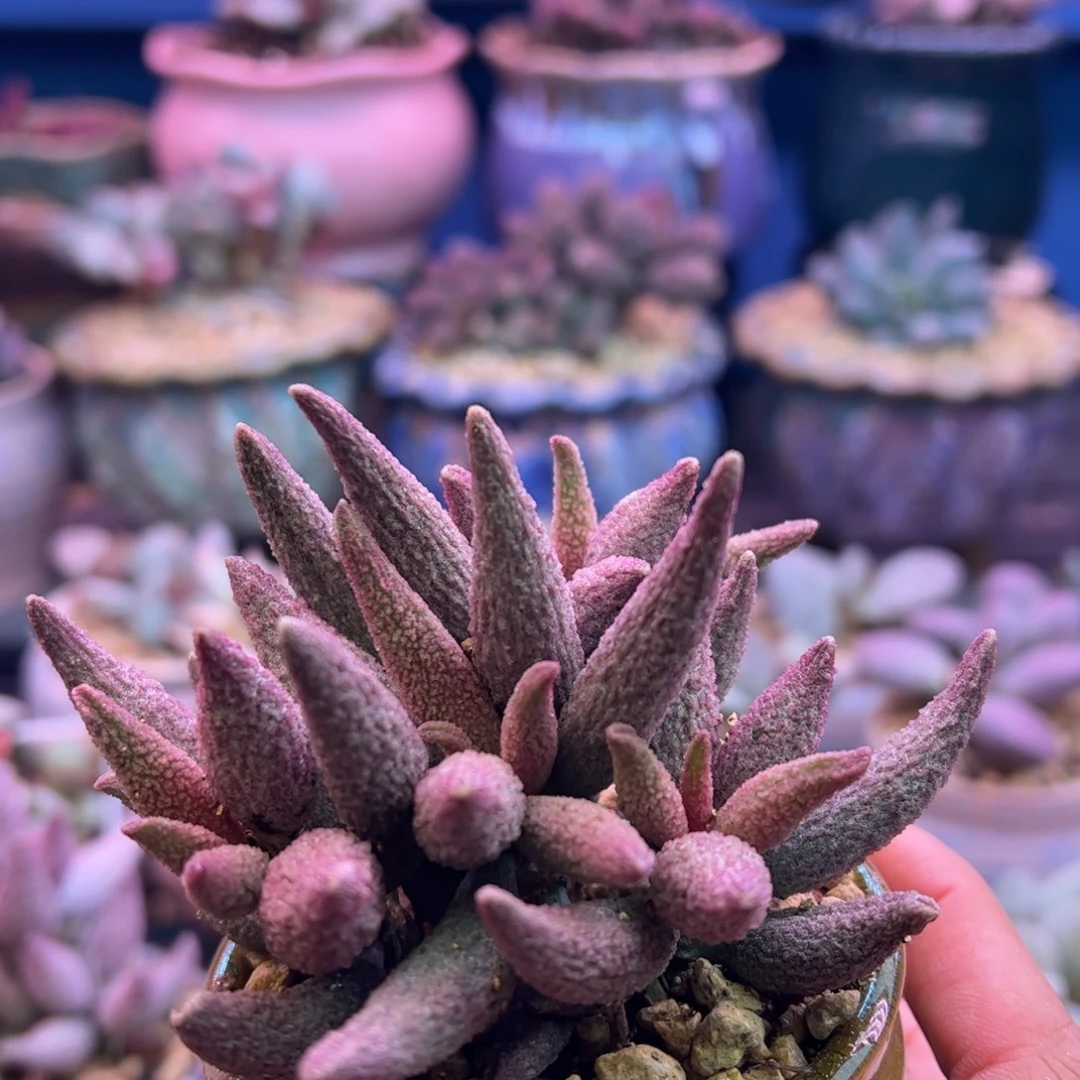 ＠***钱你的生活就是这样一