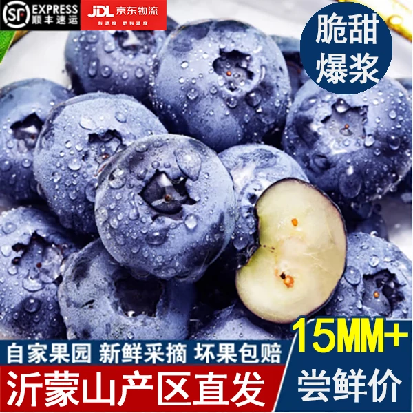 蓝莓大果15mm+新鲜采摘当日发货爽口爆汁营养孕婴辅食100g每盒