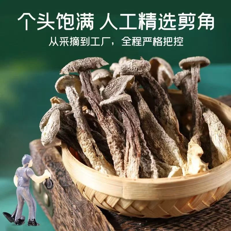高山鹿茸菇干货新货炒菜炖煲鸡汤鲜香的营养菌菇