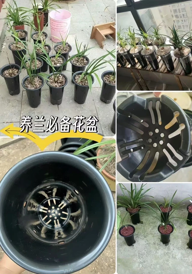 【兰花专用盆】加厚加高透气塑料兰花专用盆客厅阳台种植盆