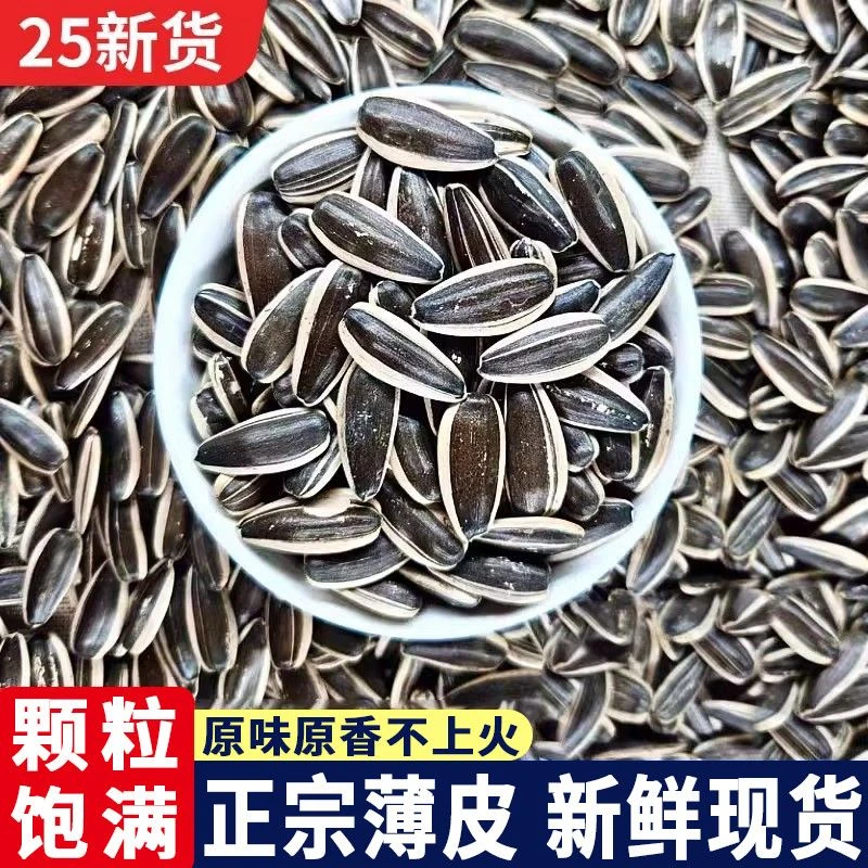 精选中大颗粒原味现炒熟瓜子葵花籽追剧解馋零食下