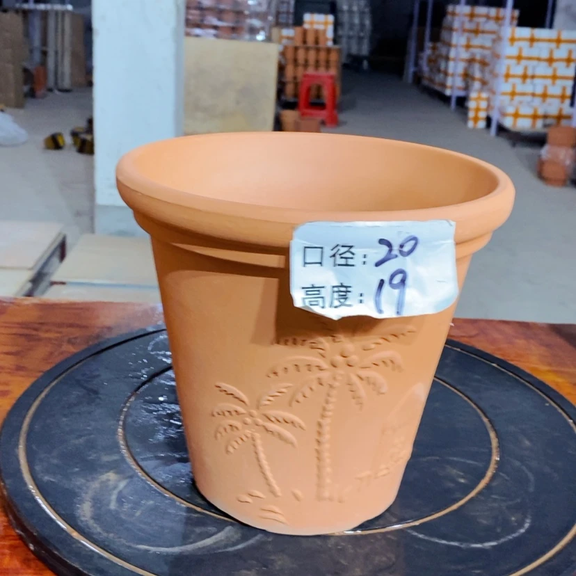 【闪购商品】椰树20×19-1