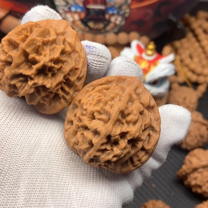 粗**品秦岭大花42尺