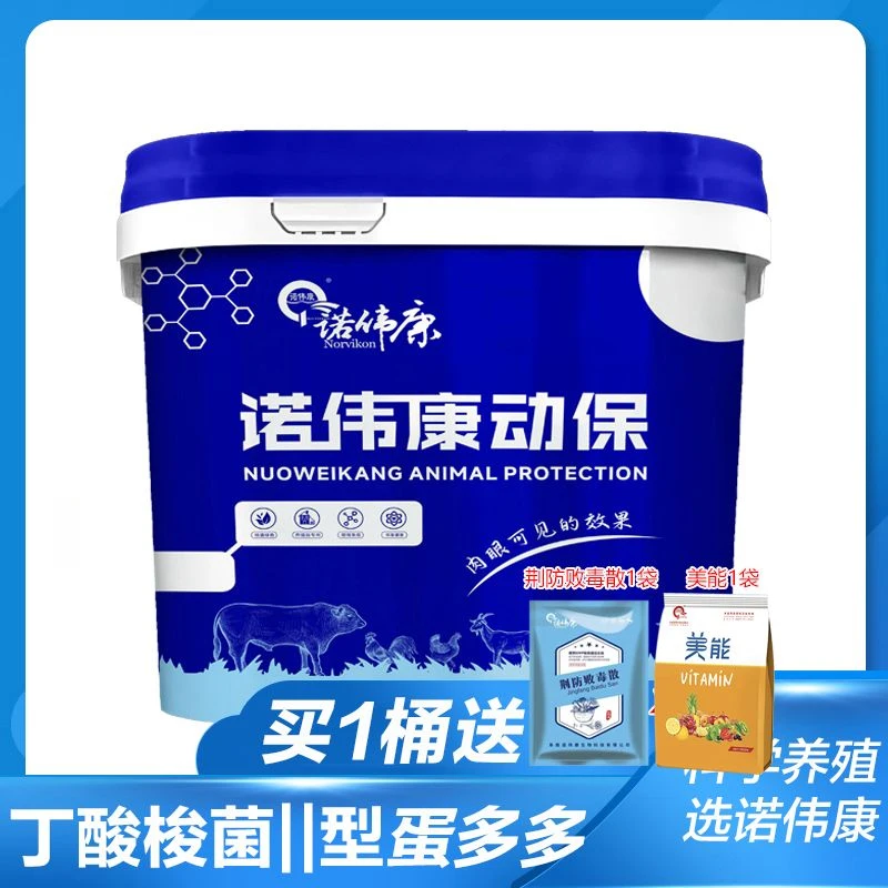 诺伟康蛋鸡蛋鸭鹅禽类专用蛋多多