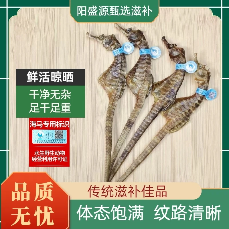 海马公母一对正品 带溯源码 海马煲汤泡酒 海马泡酒专用