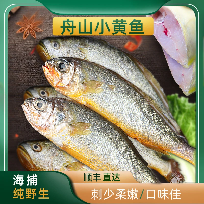 新鲜舟山小黄鱼4斤，拍3斤发4斤野生冰鲜小黄鱼黄花鱼顺丰冷运直达（规格20条以上/1斤）总共4斤