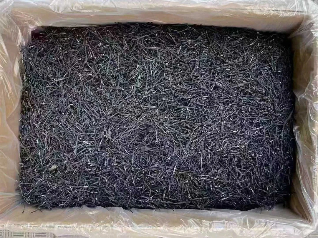 云南普洱茶2025年紫芽生茶龙珠500g