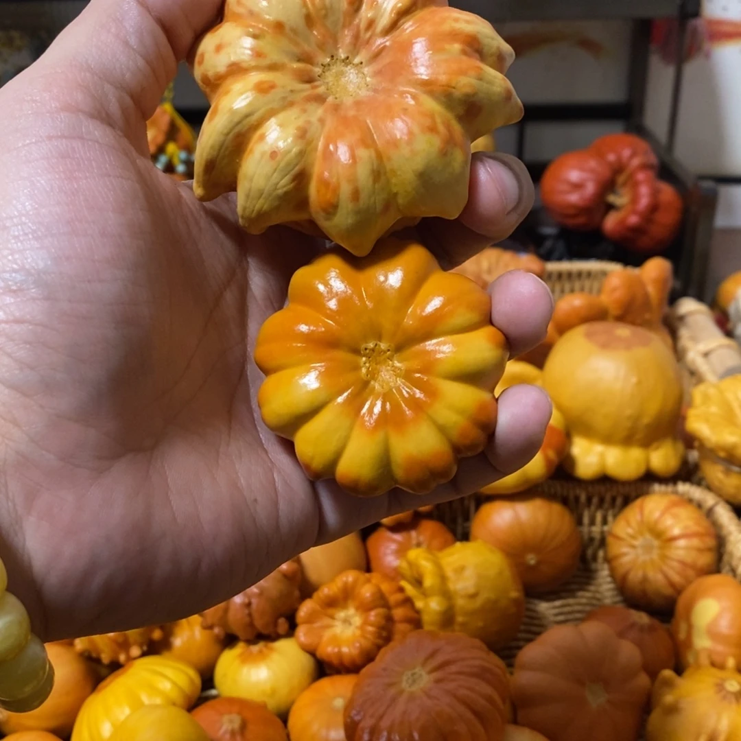 S***i666666666666666666