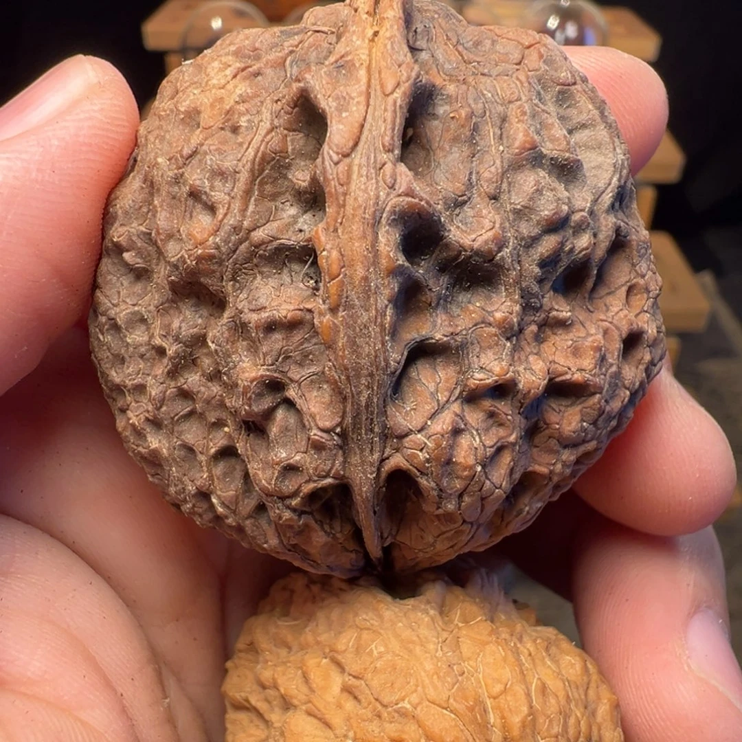 文玩核桃把件貔貅金蟾44mm