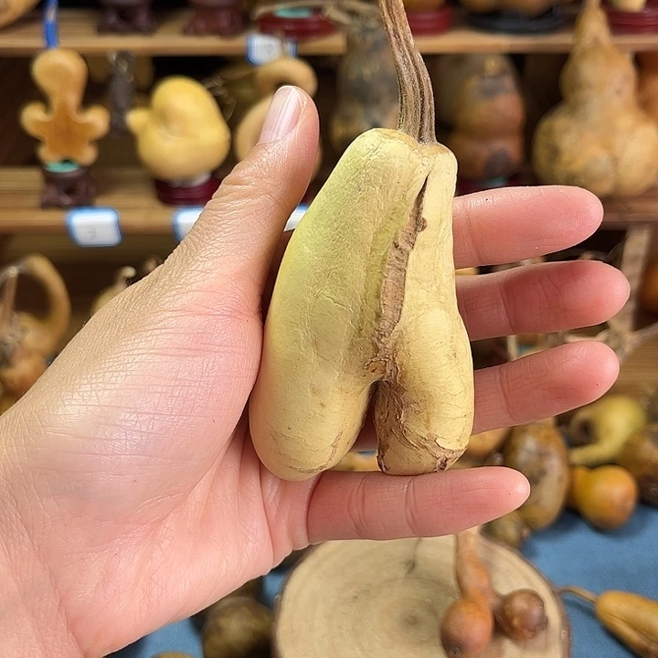 今***吗葫芦下雨天outskirts55874569