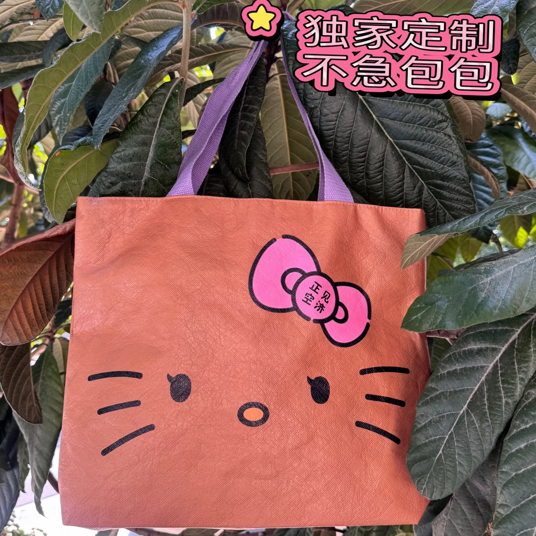 hellokitty独家定制猫咪单肩包托特包卡通单肩布包包水洗百搭耐磨