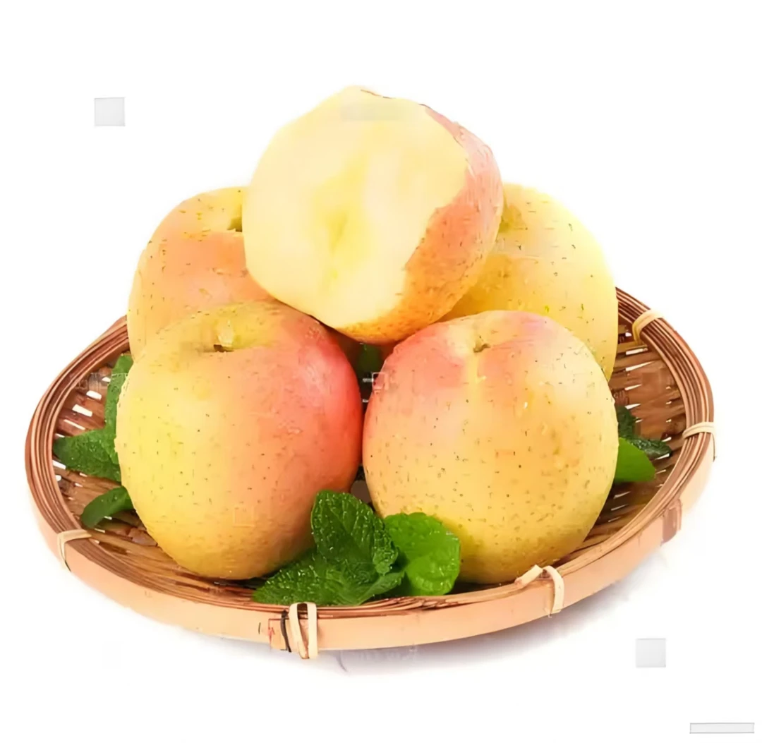 大连山地王林苹果