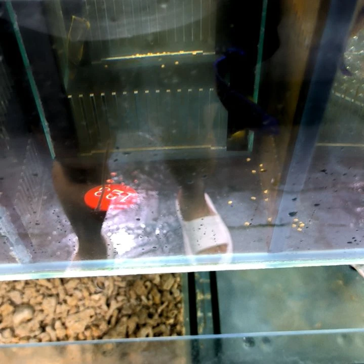 蓝闪电4-36-123海水