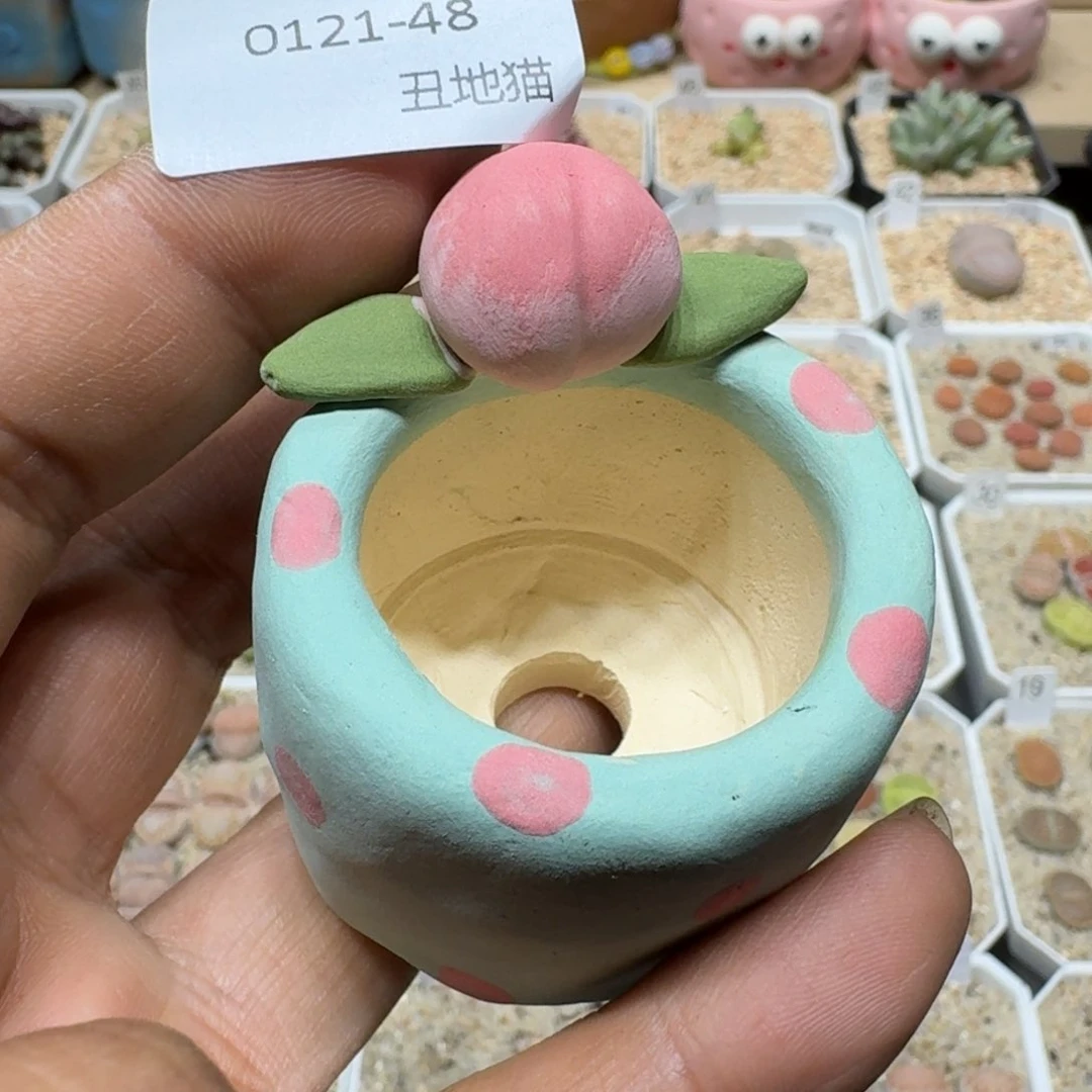 红陶?****?0121-048