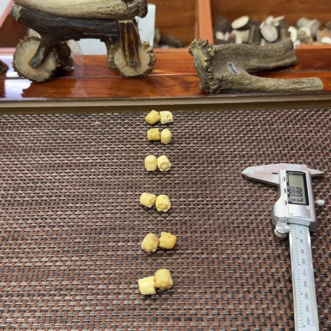 鹿骨其他鹿角雕刻小阿呆