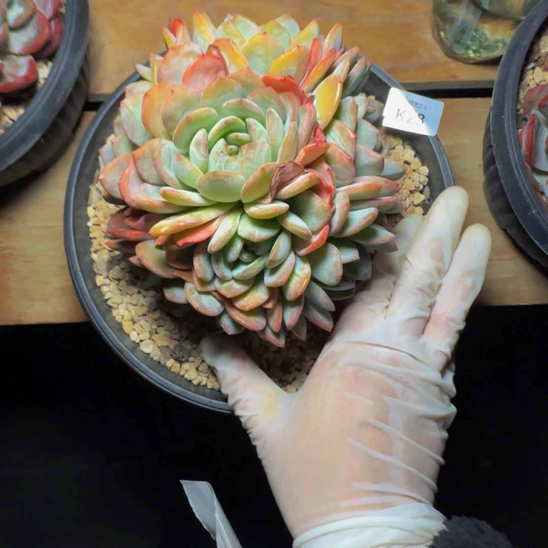 k k k k k k k k 28