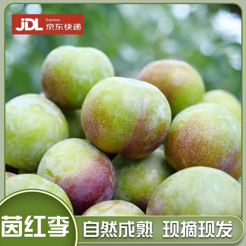 【京东包邮】四川茵红李半边红脱骨李新鲜采摘发货