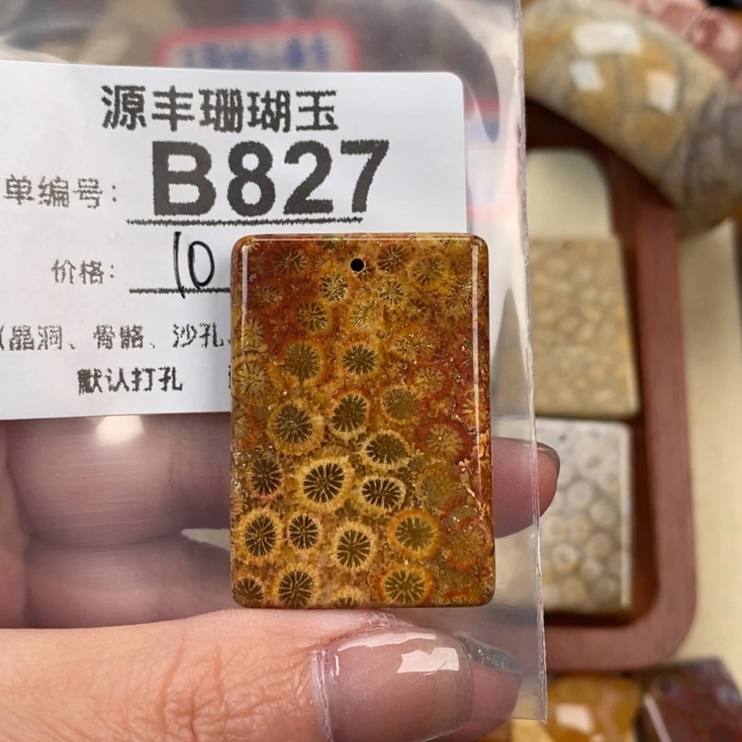 硅化玉颈饰未镶嵌子**月