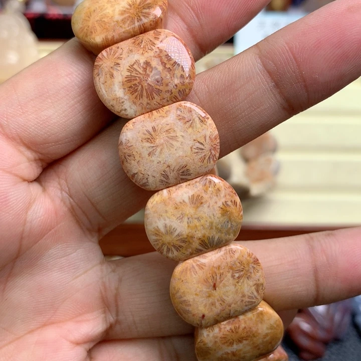 硅化珊瑚（珊瑚玉）未镶嵌颈饰