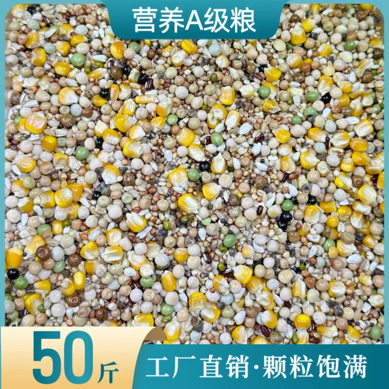 中信营养A级粮50斤/袋赛飞玉米保健信观赏鸽子鸽粮食鸟食包邮