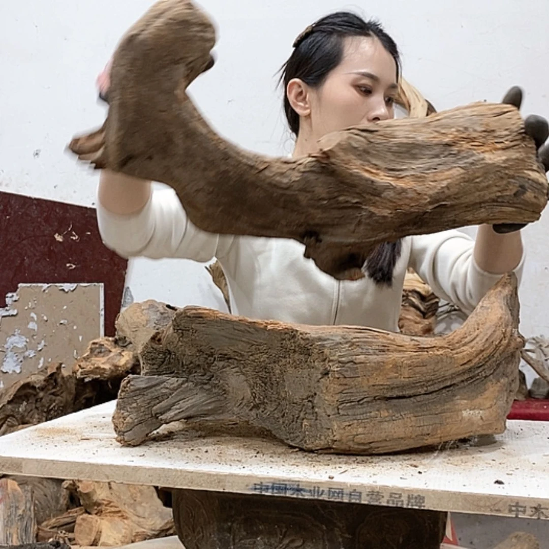 【闪购商品】柏木我**家我们都是好孩子