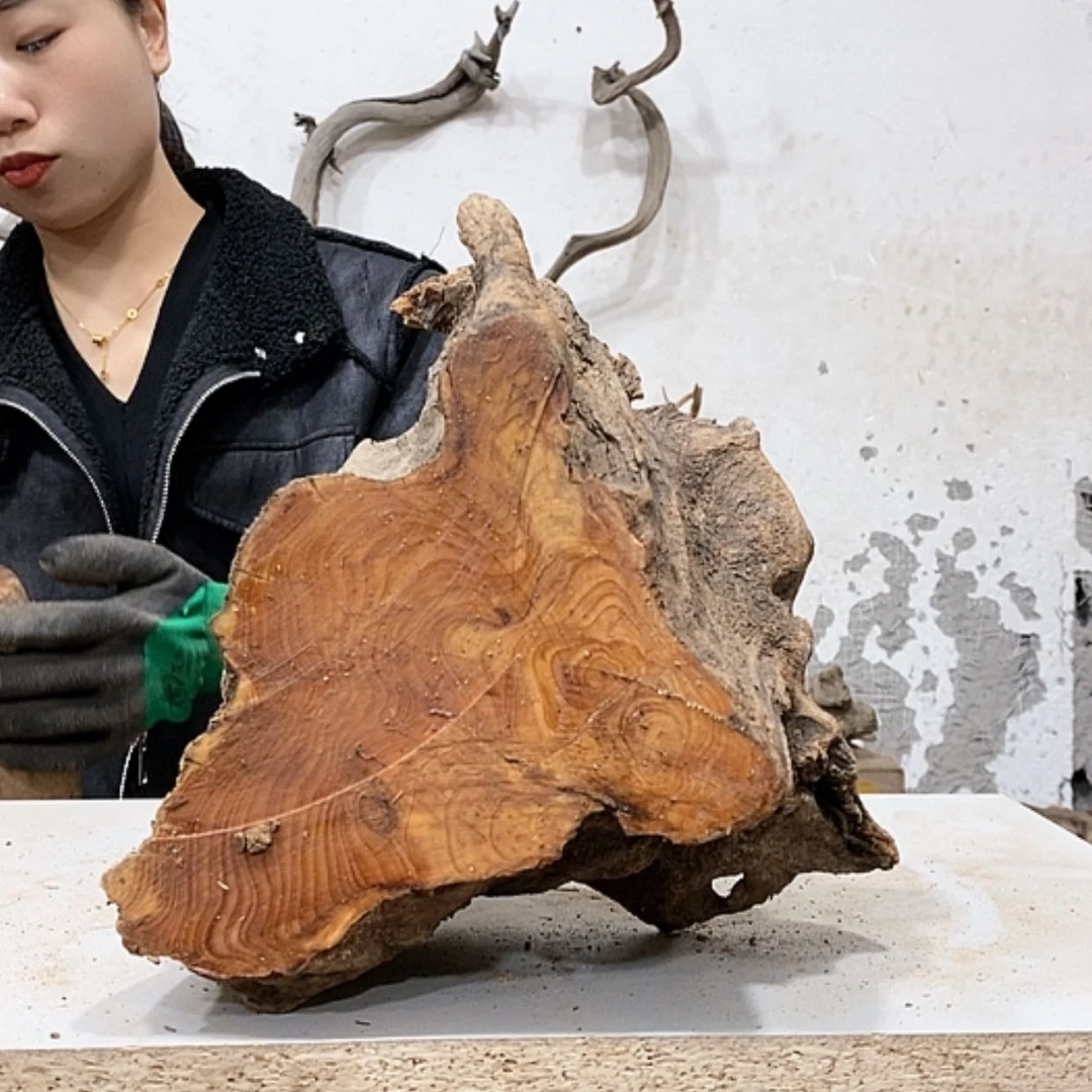 【闪购商品】柏木执****?我们都是好孩子