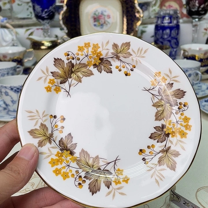 碟维多利亚欧洲中古