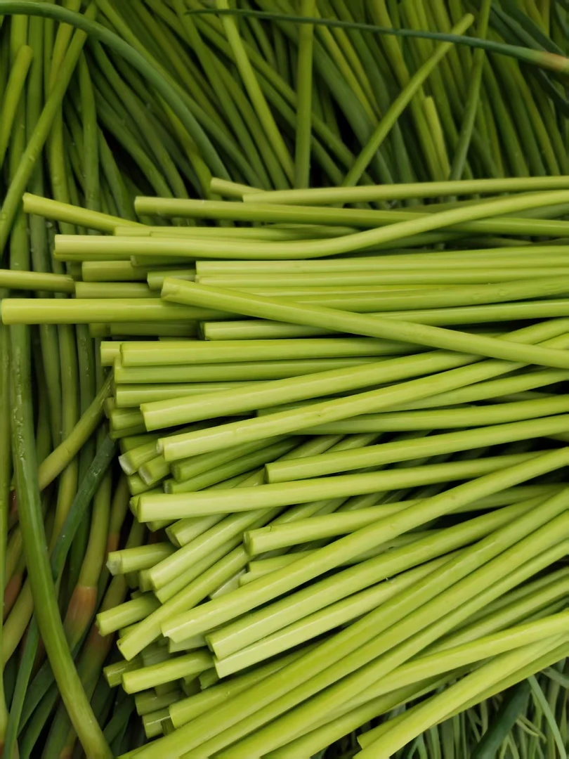 农家自种红帽蒜苔现摘现发不泡药不打保鲜剂新鲜脆嫩